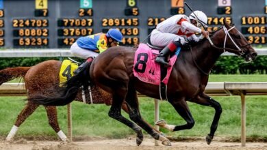 The Role of Data Analytics in Modern Horse Racing Predictions