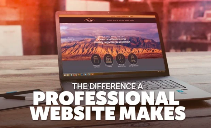 Professional website