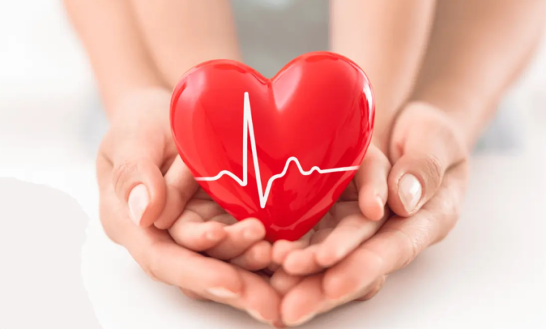 Understanding the Importance of Life Insurance