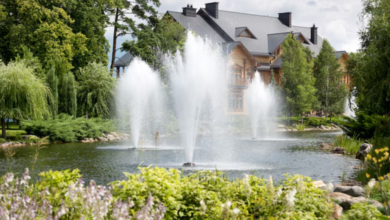 Improving Aquatic Biodiversity with Aerating Systems Like Scott Pond Fountains