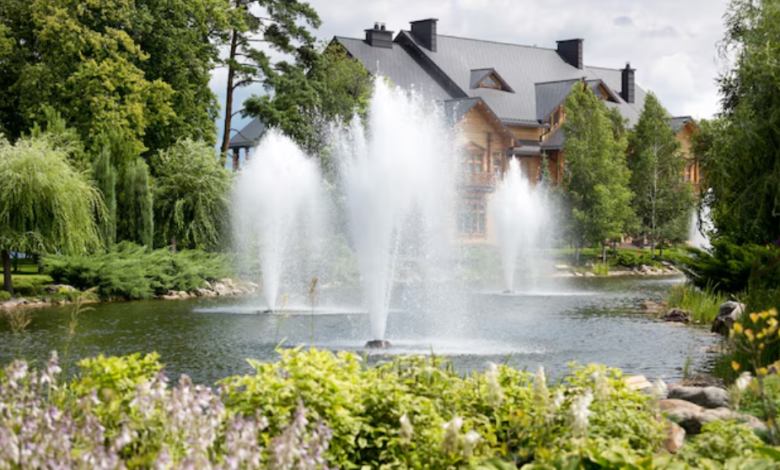 Improving Aquatic Biodiversity with Aerating Systems Like Scott Pond Fountains