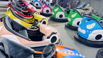 Bumper Car Manufacturers and Tourist Train for Sale: Enhance Your Amusement Park Attractions